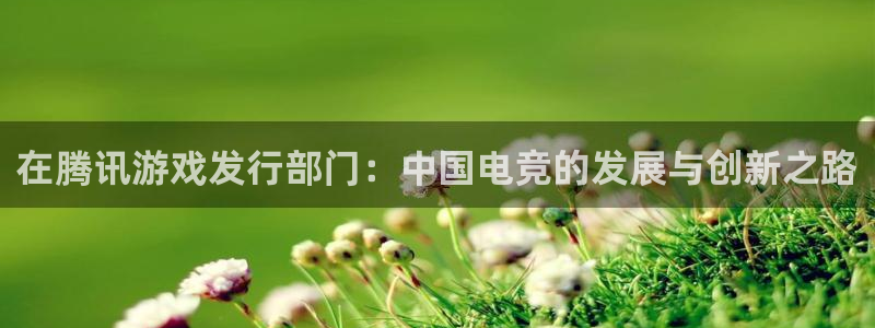 苏州亿万28网络科技有限公司：在腾讯游戏发行部门：中国电竞的发展与创新之路