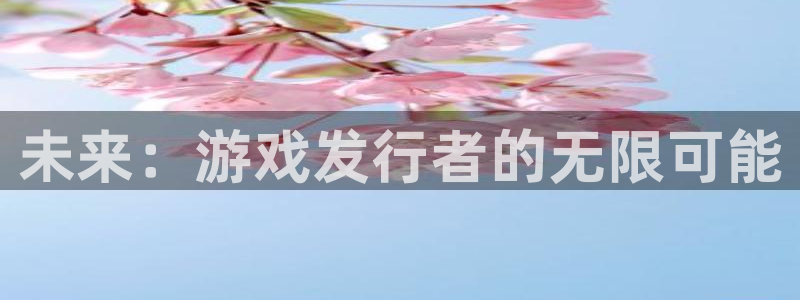 广州亿万28网络科技有限公司招聘：未来：游戏发行者的无限可能