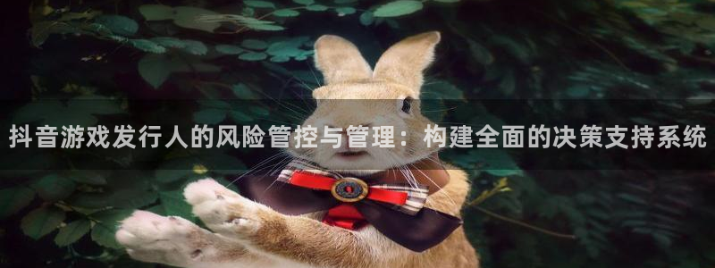 亿万28电商怎么样知乎：抖音游戏发行人的风险管控与管理：构建全面的决策支持系统