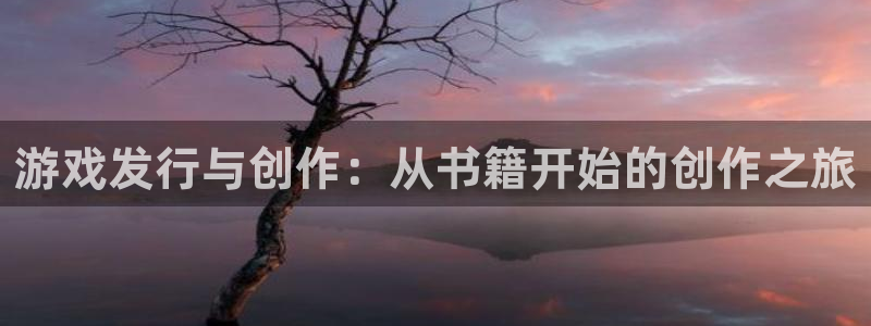 广州亿万28电子商务：游戏发行与创作：从书籍开始的创作之旅