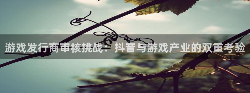 亿万28电子科技：游戏发行商审核挑战：抖音与游戏产业的双重考验