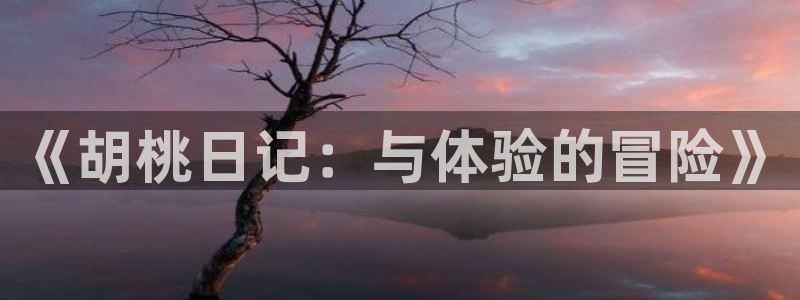 亿万28官网挂机项目怎么样啊：《胡桃日记：与体验的冒险》