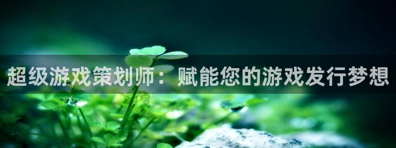 亿万28官网客服怎么样：超级游戏策划师：赋能您的游戏发行梦想