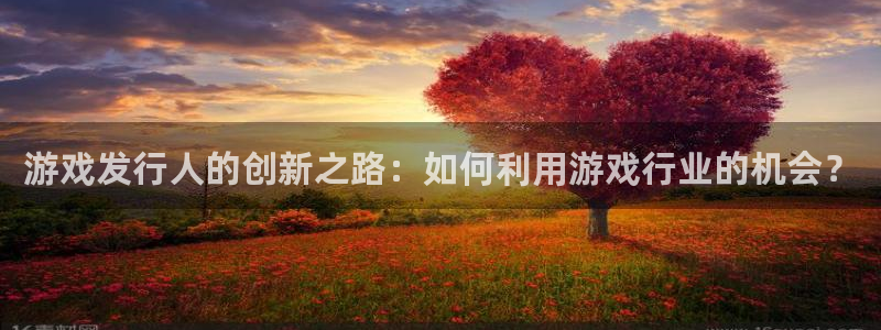 亿万28电子商务怎么样：游戏发行人的创新之路：如何利用游戏行业的机会？