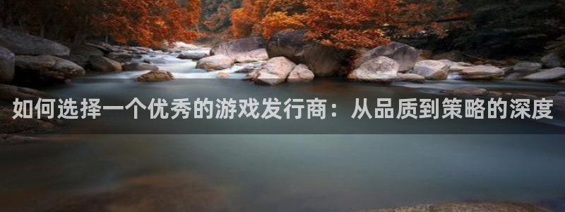 亿万28品牌：如何选择一个优秀的游戏发行商：从品质到策略的深度