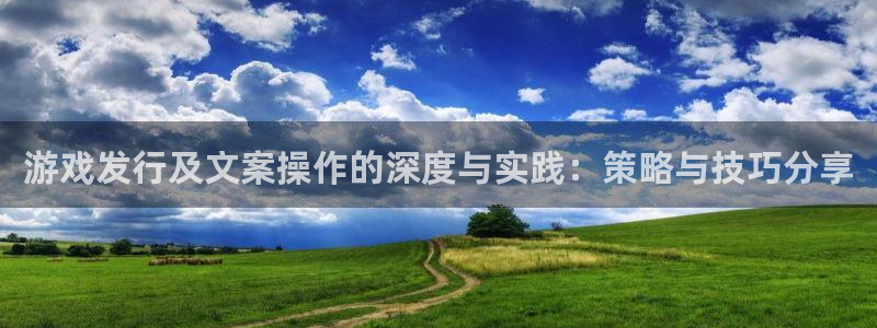 亿万28官网官网注册账号怎么注册：游戏发行及文案操作的深度与实践：策略与技巧分享